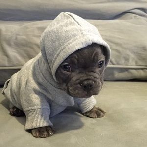 Meet your Posher, Lance